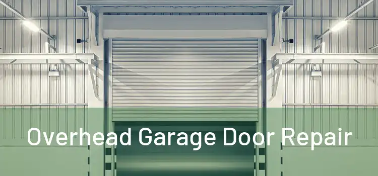  Overhead Garage Door Repair 