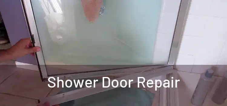 Shower Door Repair